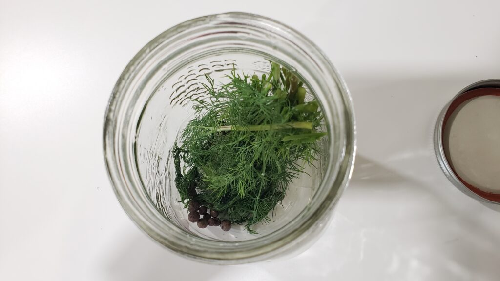 a jar is filled with allspice balls and fresh dill