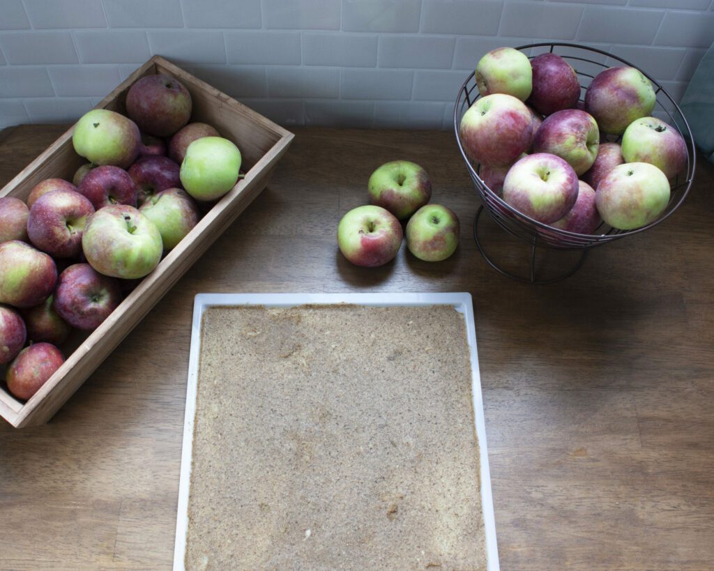 a sheet of dehydrated apples sits in the centre of the photo for apple fruit leather while fresh apples are on the top left and top right of the photo