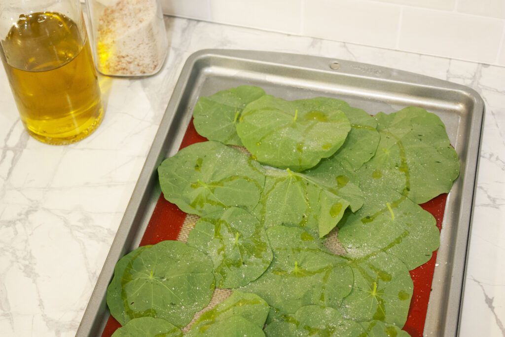 nasturtium leaves lay upside down on a baking sheet. They are covered in oil and salt with an oil jar sitting in the top left of the photo