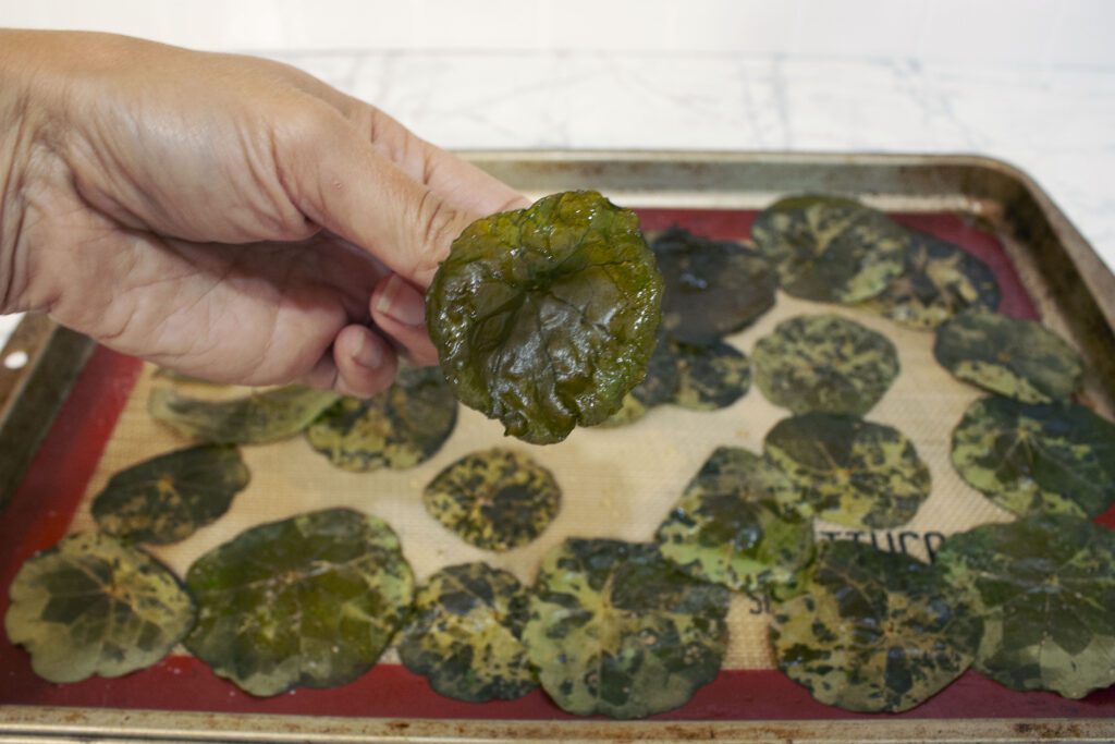 a baking sheet filled with nasturtium chips sits in the background. A hand is holding one cooked nasturtium chip in the centre of the photo