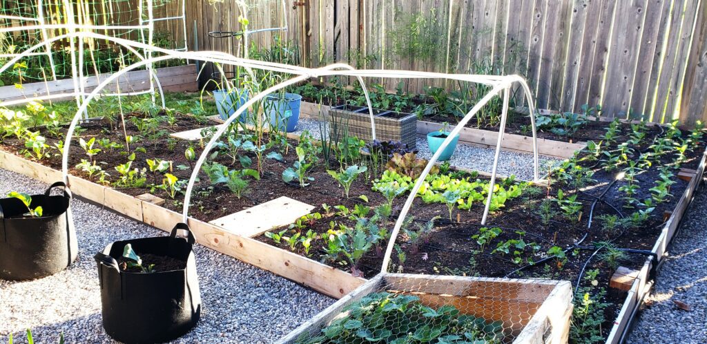 a large garden that is 5" tall is filled with vegetables