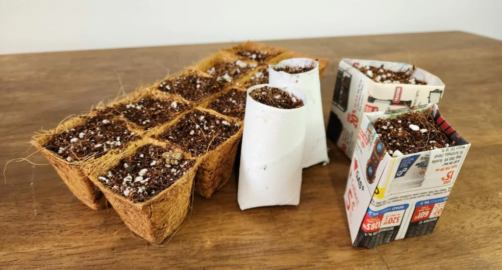a coco coir plant tray filled with peat free soil sits beside two toilet paper rolls filled with soil that are beside two square newspaper pots