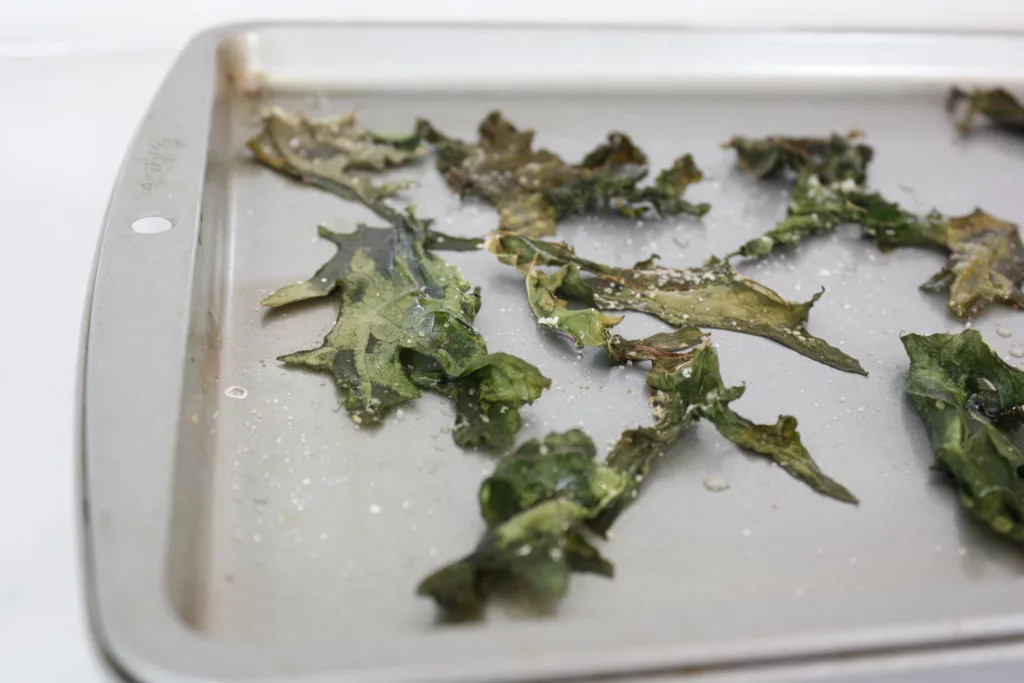 kale chips have been baked with salt and sit on a baking sheet