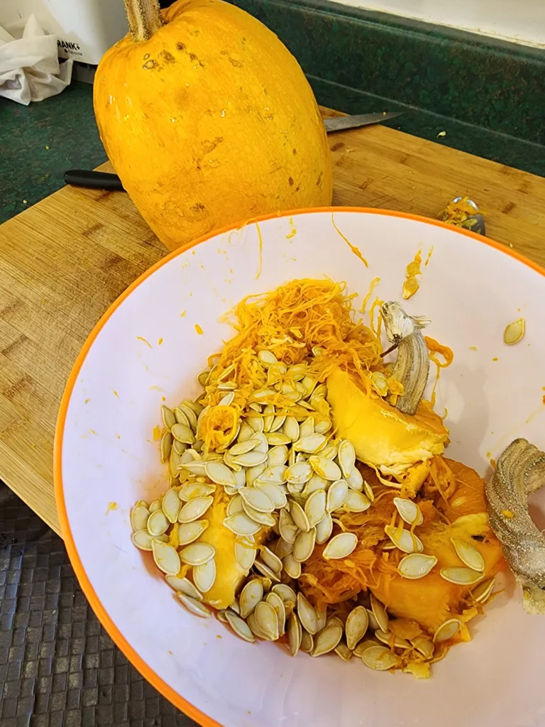 a pumpkin on the counter beside a bowl of pumpkin insides including pumpkin seeds
