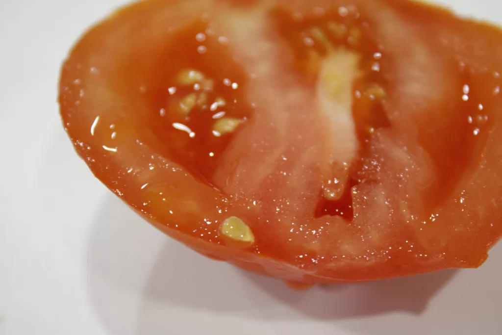 a red tomato has a gel covered tomato seed on the edge of it
