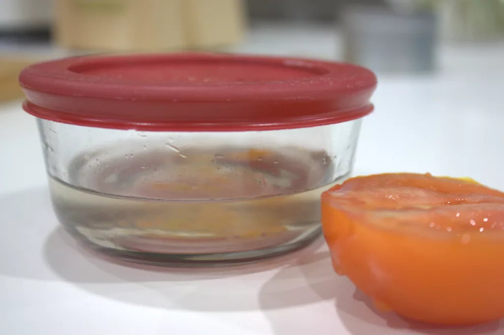 tomato seeds sit in water in a closed container used for saving tomato seeds
