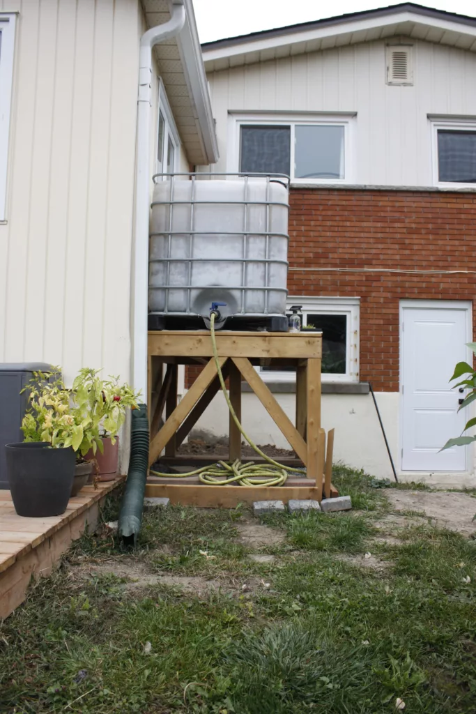 IBC tote turned into a rain barrel on a tall wooden platform