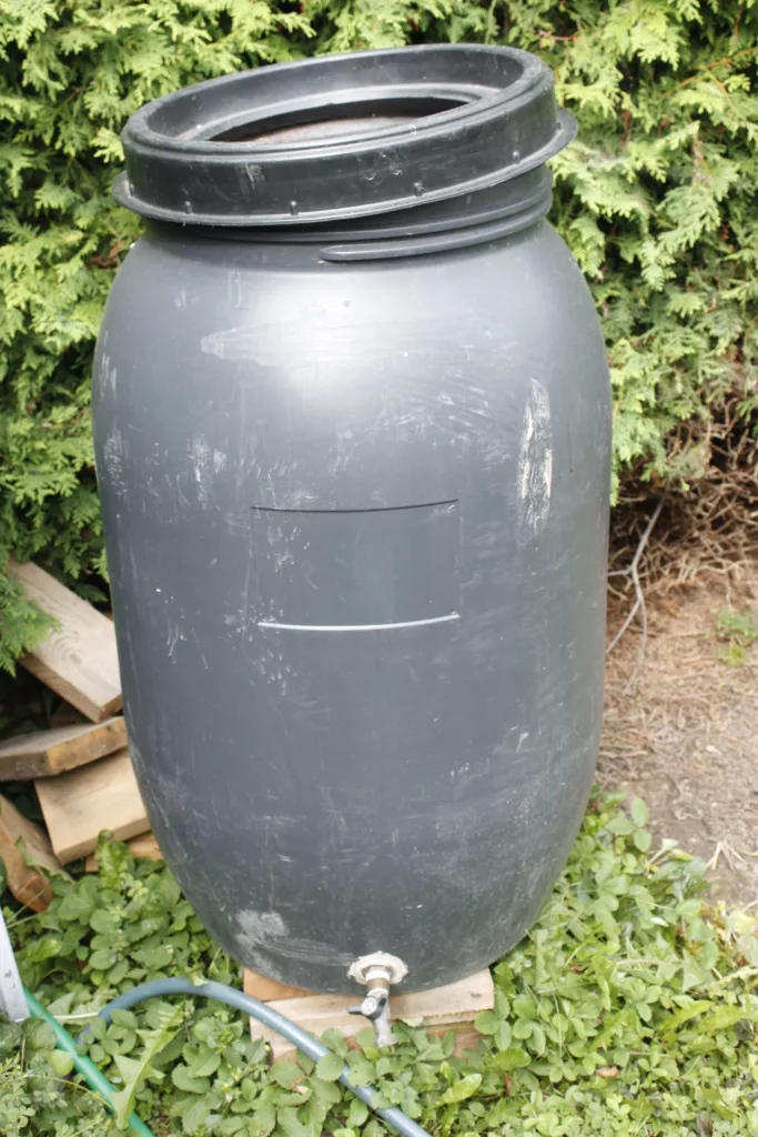 DIY rain barrel