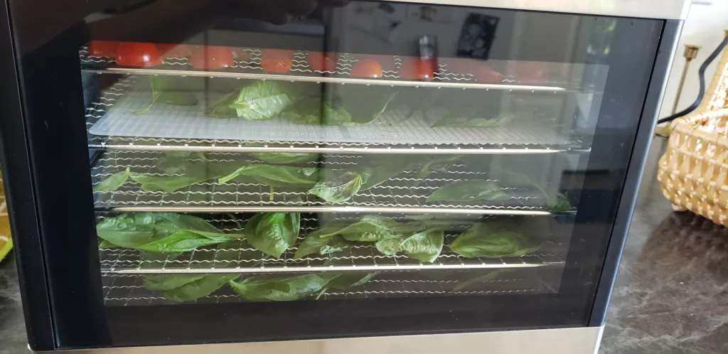 a Cosori dehydrator filled with basil and tomatoes