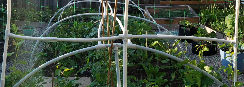 a hoop house made of pex piping using T and X connectors