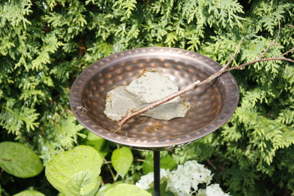 a metal bird bath is filled with water, a stone and a stick across the top. Two wasps are drinking water on the edge of the bath